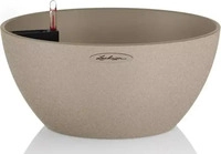 Lechuza 13841, Lechuza Cubeto Color (40 x 18.30 cm) (13841) Beige