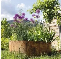 Bellissa 91004, Bellissa Corten (91004) Braun