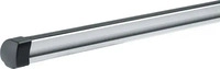 Thule 3931 THU, Thule Traverse Professional (3931 THU) Silber