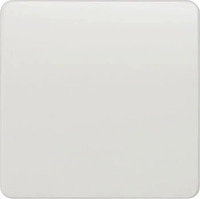 Siemens 5TG7801, Siemens 5TG7801 DELTA profil Wippe 65x65mm f.Universalschalter