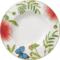 Villeroy & Boch 1043812700, Villeroy & Boch Suppenteller Amazonia Anmut (1x, 24 cm)