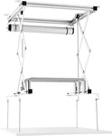 Celexon 1090687, Celexon Expert PL300 - Elektrolift f&uuml;r Projektor (Decke) (1090687)