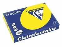 Clairefontaine, Kopierpapier, Universalpapier, farbig (120 g/m2, 250 x, A4)