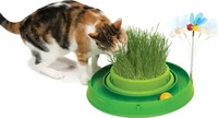 Catit Q952.122, Catit Play Ball Circuit (Intelligenzspielzeug Katze) (Q952.122) Gr&uuml;n