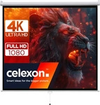 Celexon basic Heimkino- und Business manuell ausziehbare Rollo-Leinwand - einfache