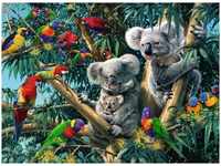 Ravensburger 00.014.826, Ravensburger Koalas im Baum (500 Teile)