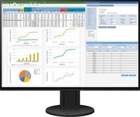 Eizo 22038, Eizo EV2457 FlexScan (1920 x 1200 Pixel, 24 ") (22038) Schwarz