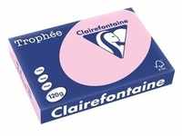 Clairefontaine, Kopierpapier, Universalpapier, farbig (120 g/m2, 250 x, A4)