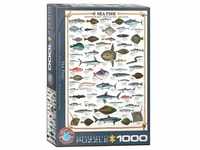 Eurographics Seefische (1000 Teile)