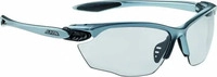 Alpina Sports A8434125, Alpina Sports Alpina Twist Four VL+ (Schwarz, Grau)