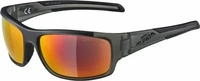 Alpina Sports Alpina Testido (Anthracite Matt, ceramic red) (7464611) Grau