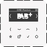 JUNG DABCDWW, JUNG Smart Radio DABCDWW DAB+ (DAB+, FM) (DABCDWW) Weiss
