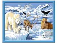 Ravensburger 00.028.909, Ravensburger Tiere der Arktis Rentier
