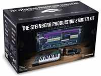 Steinberg 48116, Steinberg Guitar Recording Kit (USB) Schwarz