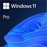 Microsoft FQC-10538, Microsoft Windows 11 Pro (unbegrenzt) (FQC-10538)