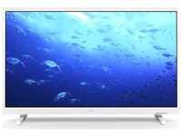 Philips 24PHS5537 (24", 5500, LED, HD, 2022), TV, Weiss