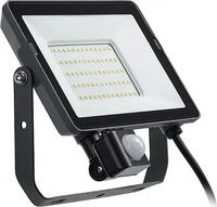 Philips 911401862884, Philips Floodlight (2700 lm, IP65) (911401862884) Schwarz