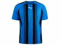 Puma, Herren, Sportshirt, teamLIGA Striped Jersey-704920 (XL), Blau, XL