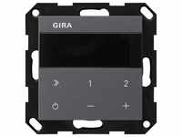 Gira 232028 UP-Radio IP System 55 Anthra (Internetradio), Radio, Grau