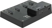 Delock 64124, Delock USB-C - 4x M.2 NVMe (USB-C, 4 Ports) (64124) Schwarz