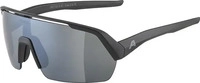 Alpina Sports A8712331, Alpina Sports Alpina Turbo (Black Matt, Silber)...