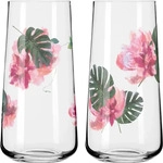 Ritzenhoff 6151001, Ritzenhoff Universalglas Sommersonett (0.61 l, 2x) (6151001)