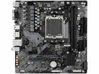 Gigabyte B650M S2H, Gigabyte B650M DS2H (rev 1.0) (AM5, AMD B650, mATX)