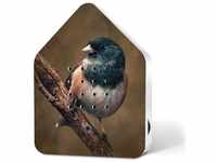 RELAXOUND Zwitscherbox limited Edition singing Birds - American Robin