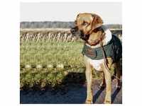 Kentucky Dogwear Hundedecke Dog coat 160g - Dunkelgrün, Dackel