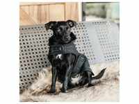 Kentucky Dogwear Hundedecke Dog Coat 160g - schwarz, Dackel