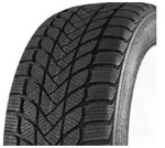 Mastersteel WinterPlus ISW 225/55 R17 97 H, Winterreifen