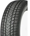 Gripmax SureGrip E Winter 215/45 R17 91 V, Winterreifen