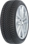 Dunlop 720641, Dunlop Winter 245/35 R21 96 W, Winterreifen, Kraftstoffeffizienz: C,