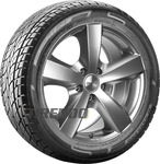 Nankang JB621, Nankang SP 7 255/30 R22 95 V, Sommerreifen, Kraftstoffeffizienz: D,