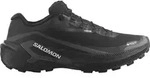 Salomon Genesis 2 GTX Herren Laufschuhe schwarz - 44.6 EU