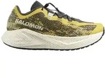 Salomon Aero Glide 4 Gavel Herren Laufschuhe bunt - 44.0 EU