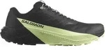 Salomon S/Lab Pulsar Herren Laufschuhe schwarz - 42.0 EU