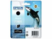 Epson C13T76014010, Epson T7601 Druckerpatrone Photo Black 25,9ml (C13T76014010)