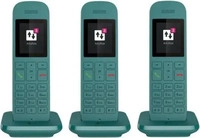 TELEKOM Speedphone 12 Trio petrol