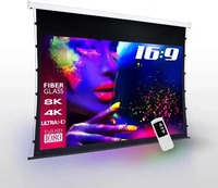 eSmart 121078849, eSmart Germany Tageslicht Tension Leinwand GRAU Glasfaser 221x125