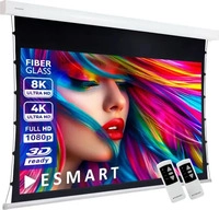 eSmart 124133655, eSmart Expert XTS Tension Leinwand 266 x 149 cm (120") 16:9