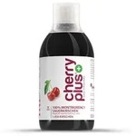 Montmorency Sauerkirschsaft Konzentrat - Cherry PLUS 1 Flasche
