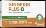 Bioaktiver Ingwer-Extrakt - Gingerin PLUS 1 Monat