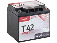 Accurat Traction T42 LFP 12V LiFePO4 Lithium Versorgungsbatterie 42 Ah...