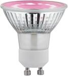 Paulmann LED-Reflektor GU10 3,5 W 95 lm