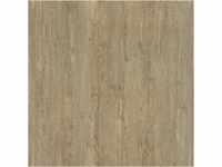 DECOLIFE Vinylboden 'Comfort' Winter Pine braun 10,5 mm