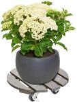 Wagner Pflanzenroller WPC 'GH 0536' &Oslash; 29 cm taupe