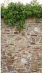 A.S. Cr&eacute;ation Vliestapete 'The Wall II' Stein Efeu beige 3-teilig 1,59 x 2,80 m