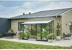 Halls Anlehngew&auml;chshaus 'Qube Lean-to 612' 188 x 374 cm mit 3 mm Sicherheitsglas