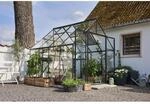 Halls Gew&auml;chshaus 'Qube+ 88' 251 x 251 cm mit 3 mm Sicherheitsglas schwarz